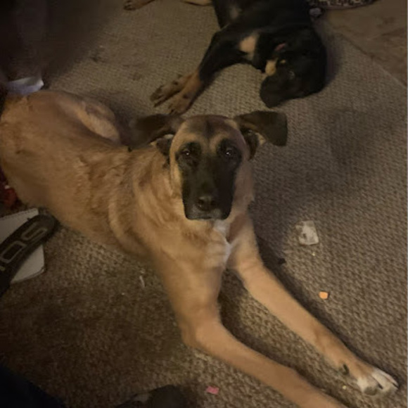 Meet your Posher, Richard - Picture 1 of 1